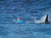 האם ה-WSL ידלג ב-2016 על התחנה ב-J-Bay